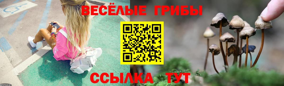 Мирный  Псилоцибиновые грибы Psilocybine cubensis  Вход с VPN 