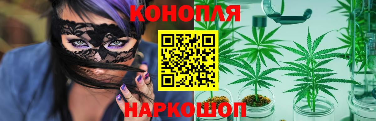 Канабис тримм  Вход с VPN  Каннабис MAZAR  Мирный  Конопля Bruce Banner 